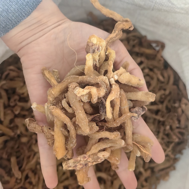 玉竹玉竹个湘玉竹无硫纯干各种规格
