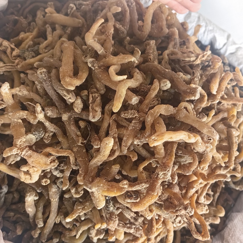 玉竹玉竹个湘玉竹无硫纯干各种规格