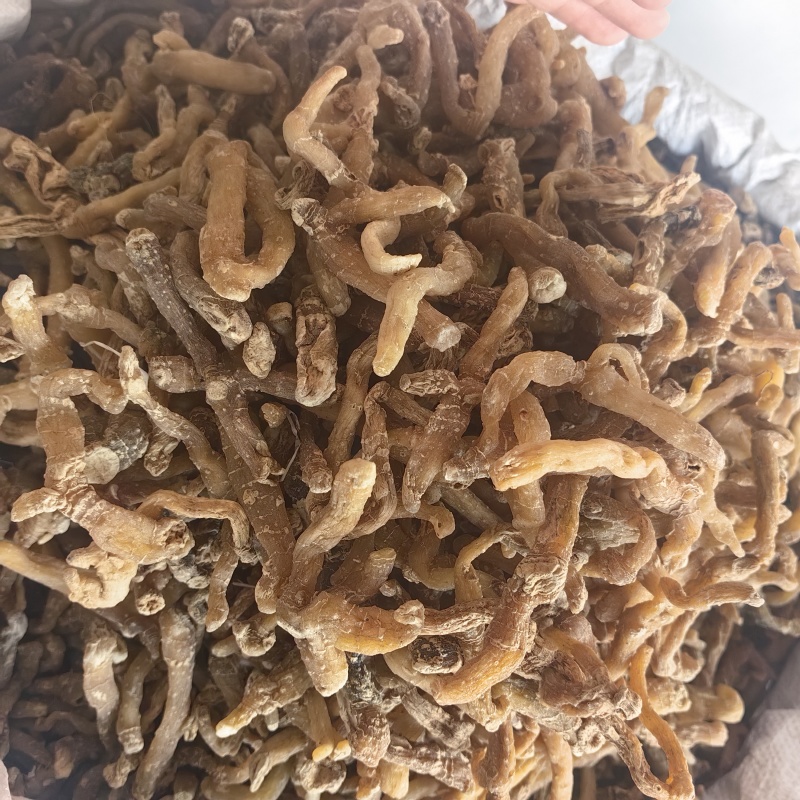 玉竹玉竹个湘玉竹无硫纯干各种规格