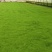 纱布苔藓