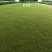 纱布苔藓