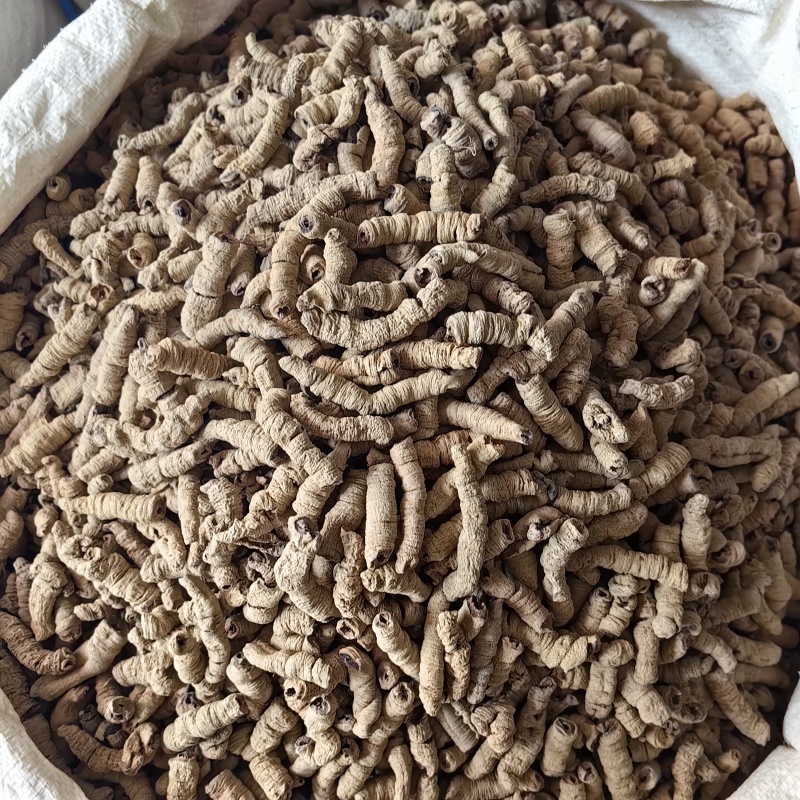 巴戟天抽芯干货优质无硫各种规格批发零售
