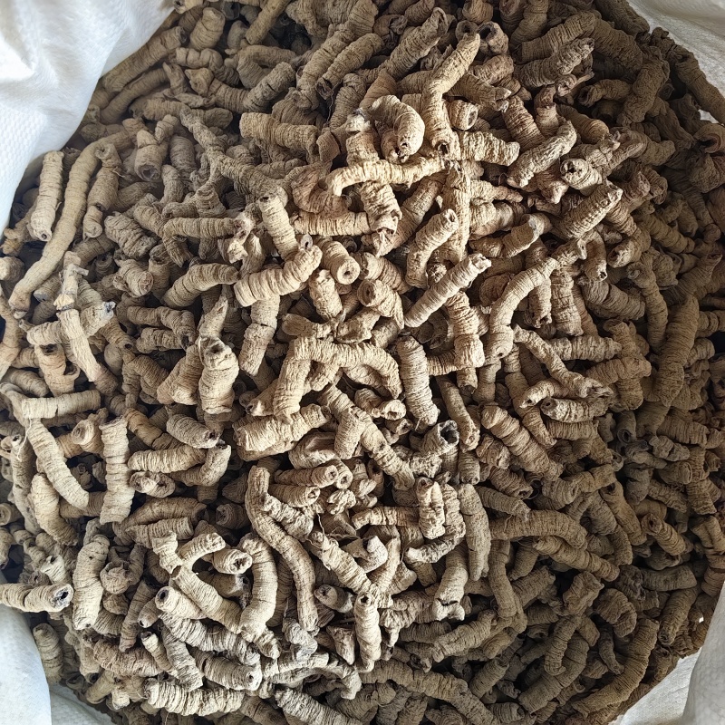 巴戟天抽芯干货优质无硫各种规格批发零售
