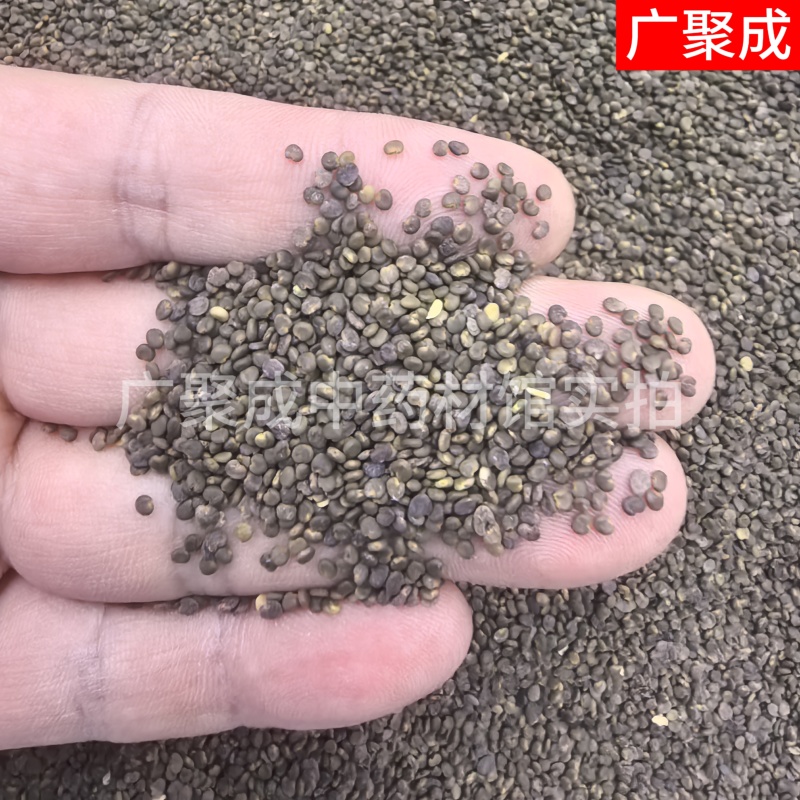 【包邮】沙苑子沙菀子沙宛子大量批发