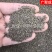 【包邮】沙苑子沙菀子沙宛子大量批发