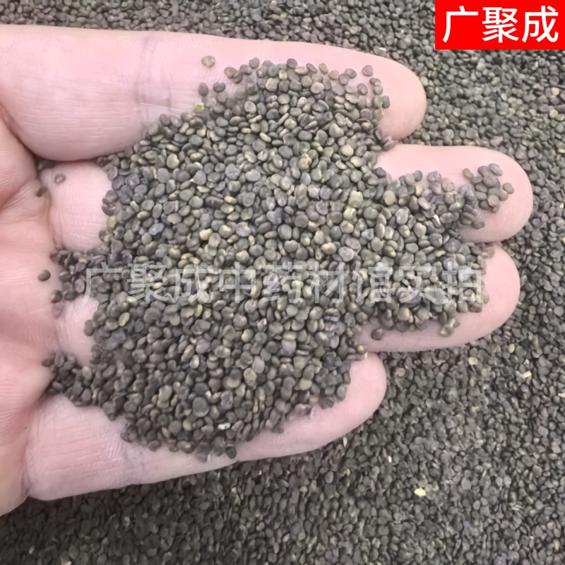 【包邮】沙苑子沙菀子沙宛子大量批发