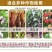鑫星40%苯醚甲环唑悬浮剂叶斑病黑星病疮痂病杀菌剂