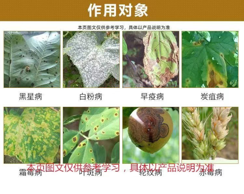 鑫星40%苯醚甲环唑悬浮剂叶斑病黑星病疮痂病杀菌剂