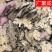 川芎川芎片四川敖平川芎药典标准一公斤起批道地药材质优价实