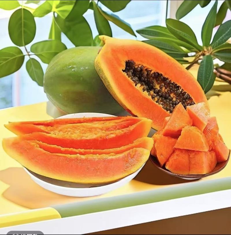 西双版纳牛奶木瓜