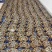 辽宁盘锦河蟹，农家自己养殖，稻田蟹，满膏满黄，大量批发了