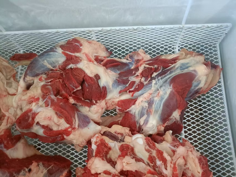 纯内蒙牛肉，统肉，质量嘎嘎好，草饲牛肉，全年大量供应奥。