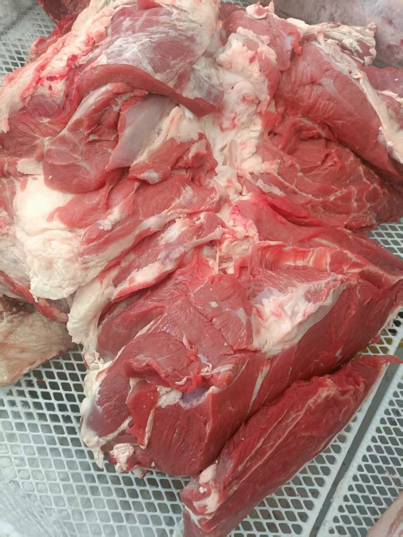 纯内蒙牛肉，统肉，质量嘎嘎好，草饲牛肉，全年大量供应奥。