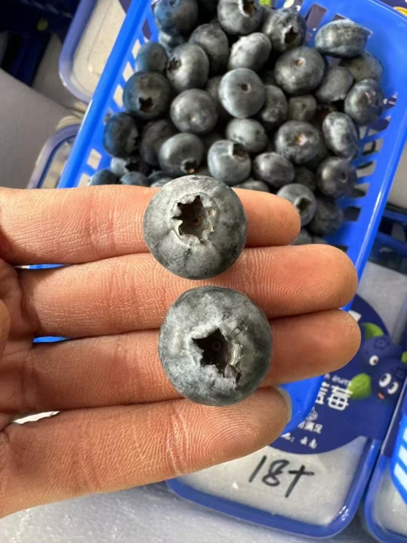 云南花香蓝莓纯甜无酸品质**