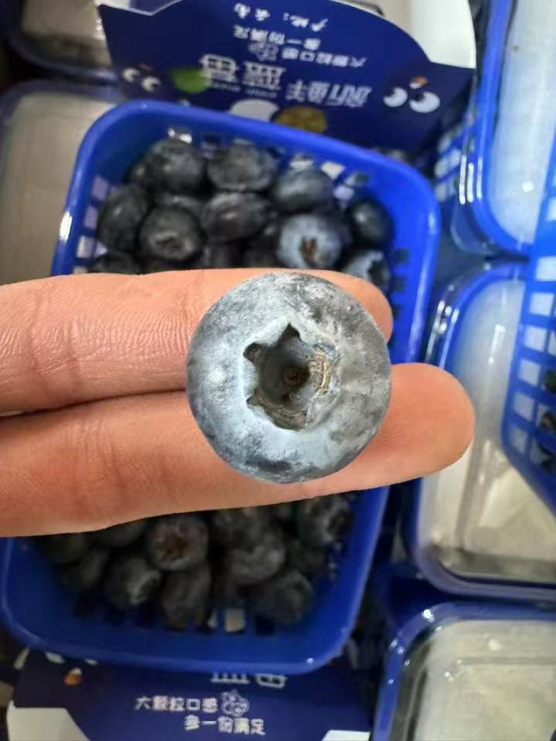 云南花香蓝莓纯甜无酸品质**