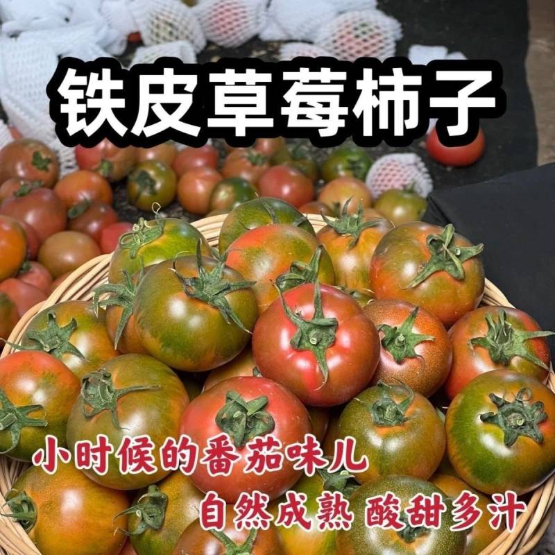 铁皮草莓柿子，又叫精彩6号，精彩8号，碱地柿子，盘锦的