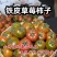 铁皮草莓柿子，又叫精彩6号，精彩8号，碱地柿子，盘锦的