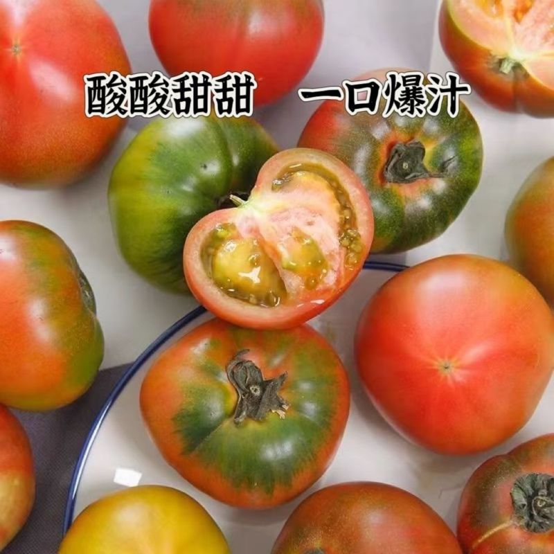 铁皮草莓柿子，又叫精彩6号，精彩8号，碱地柿子，盘锦的