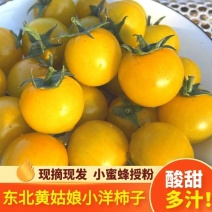 辽宁盘锦409黄柿子，清甜可口，量大从优，欢迎联系咨询。