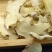 白芨野生中药白芨白芨批发批发价水白芨白芨野生云南中药白芨