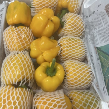彩椒