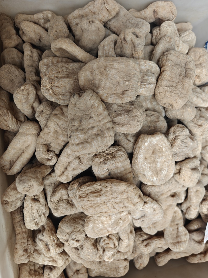 天麻片，天麻个子大量有货，欢迎订购