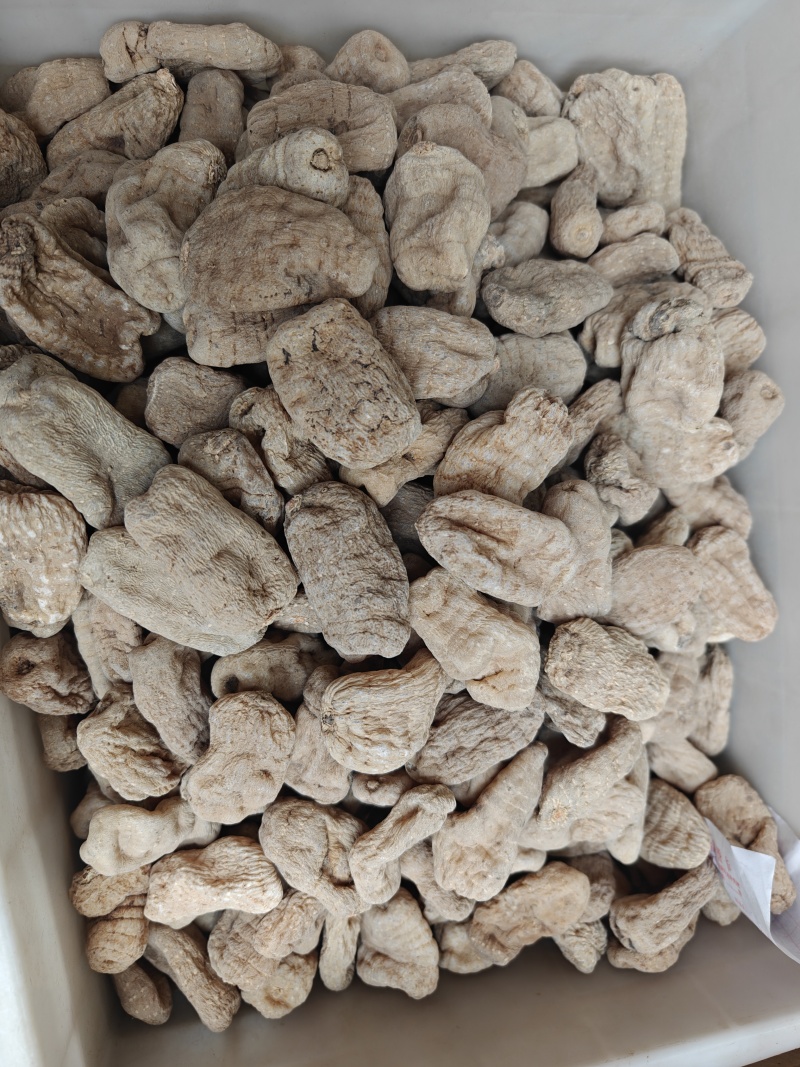 天麻片，天麻个子大量有货，欢迎订购