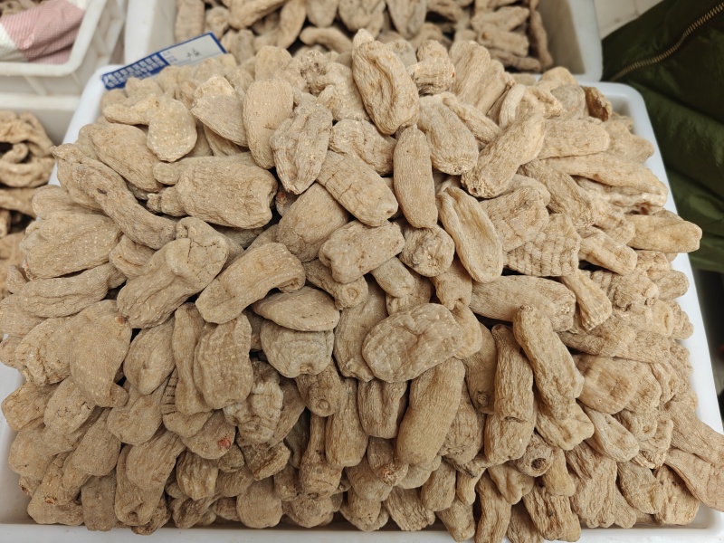 天麻片，天麻个子大量有货，欢迎订购