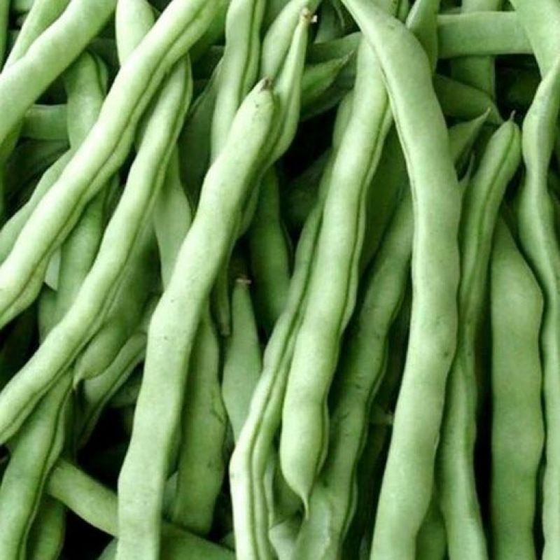 辽宁架豆王豆角，鲜货，量大从优，对接全国各地客商前来洽谈