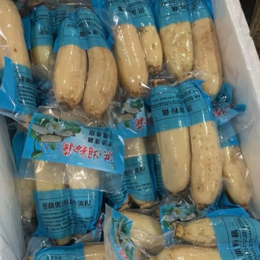 洪湖莲藕