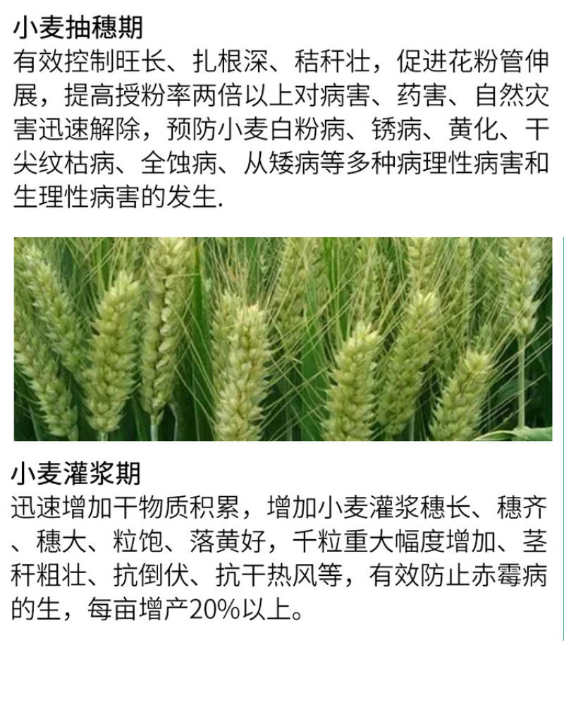 脉黄金叶面肥叶面肥脉黄金喷施叶面肥