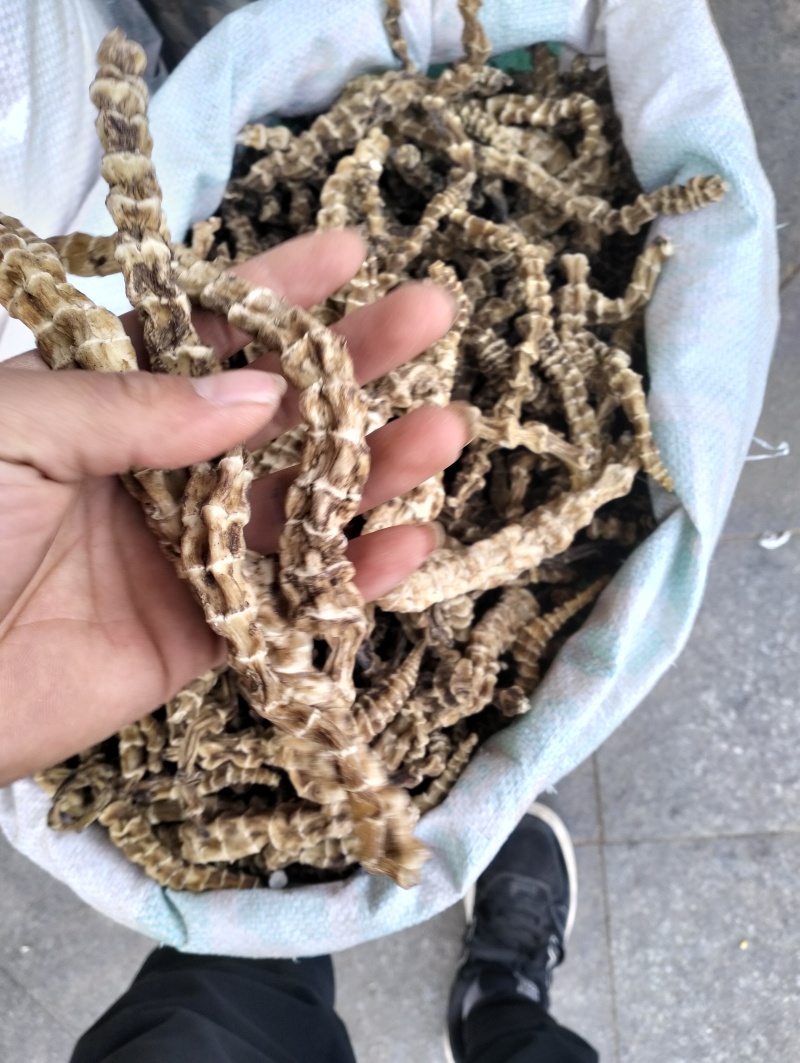 地参虫草参云南地参产地货大货批发
