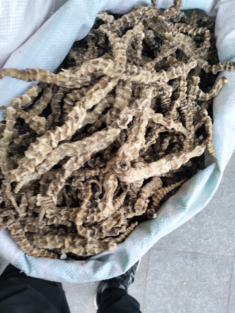 地参虫草参云南地参产地货大货批发