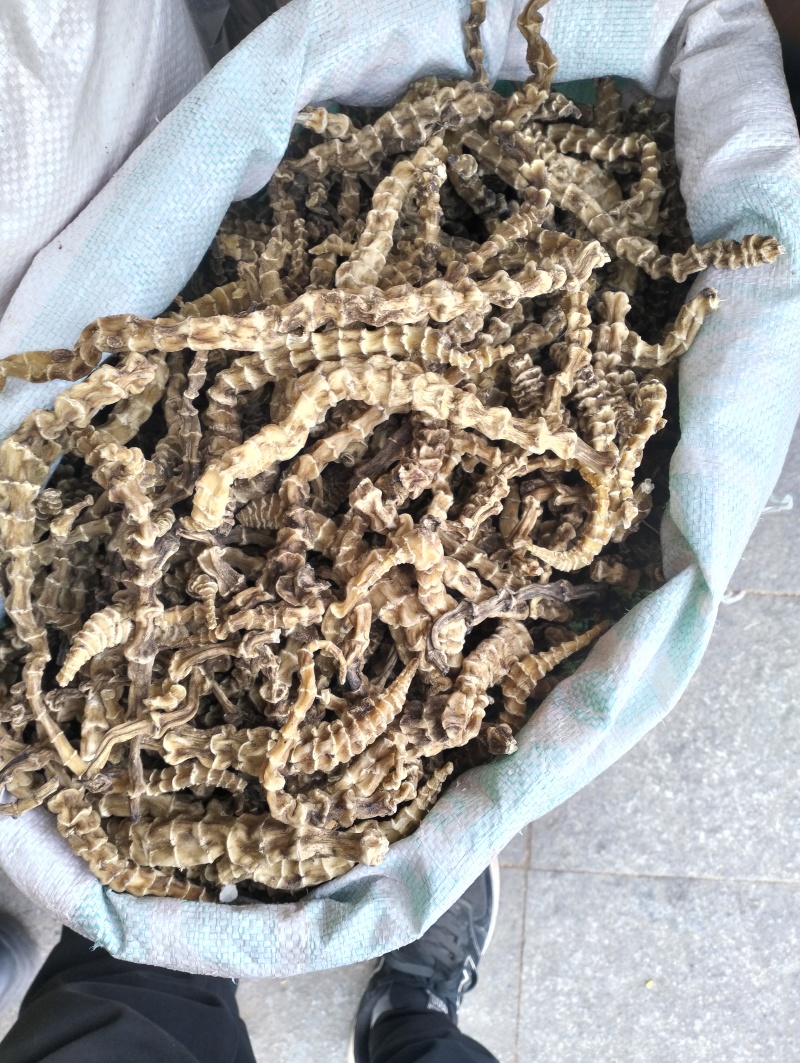 地参虫草参云南地参产地货大货批发