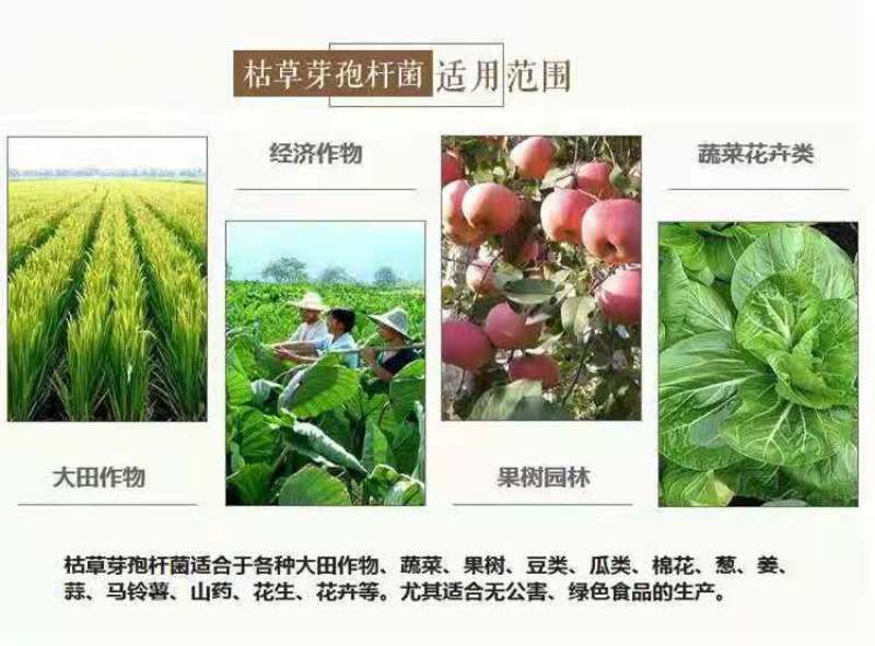 生物有机肥，菌肥，微生物肥料，有机肥料，
