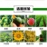 生物有机肥，菌肥，微生物肥料，有机肥料，