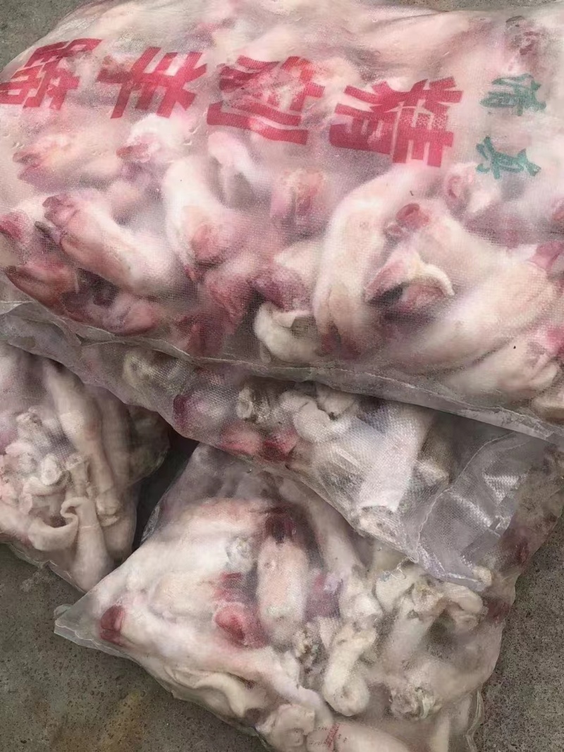 羊蹄，不抽筋，大中小各种规格均有现货，干净无毛。大小均匀