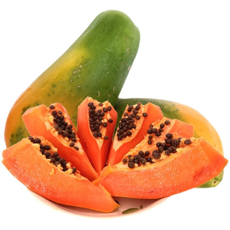 广西冰糖心木瓜苗矮化特大南方四季耐寒庭院种植当年结果树苗
