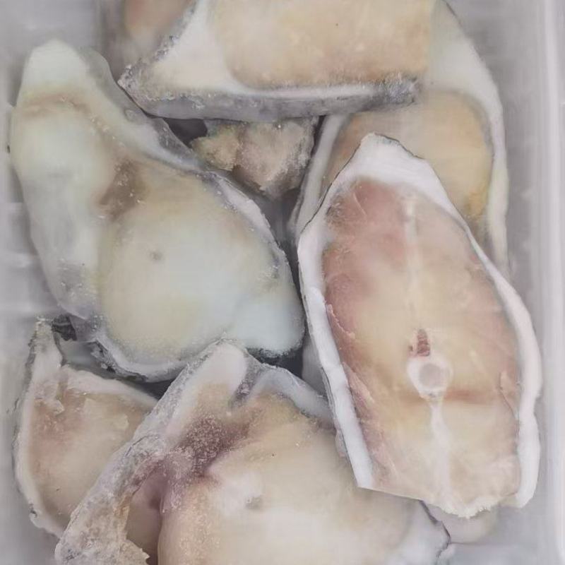 海参斑片