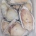 海参斑片