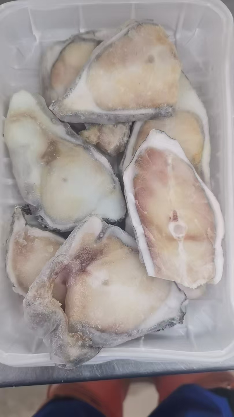 海参斑片