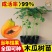 正宗红心木瓜苗超矮水果南方种植木瓜苗矮化特大当年四季结果
