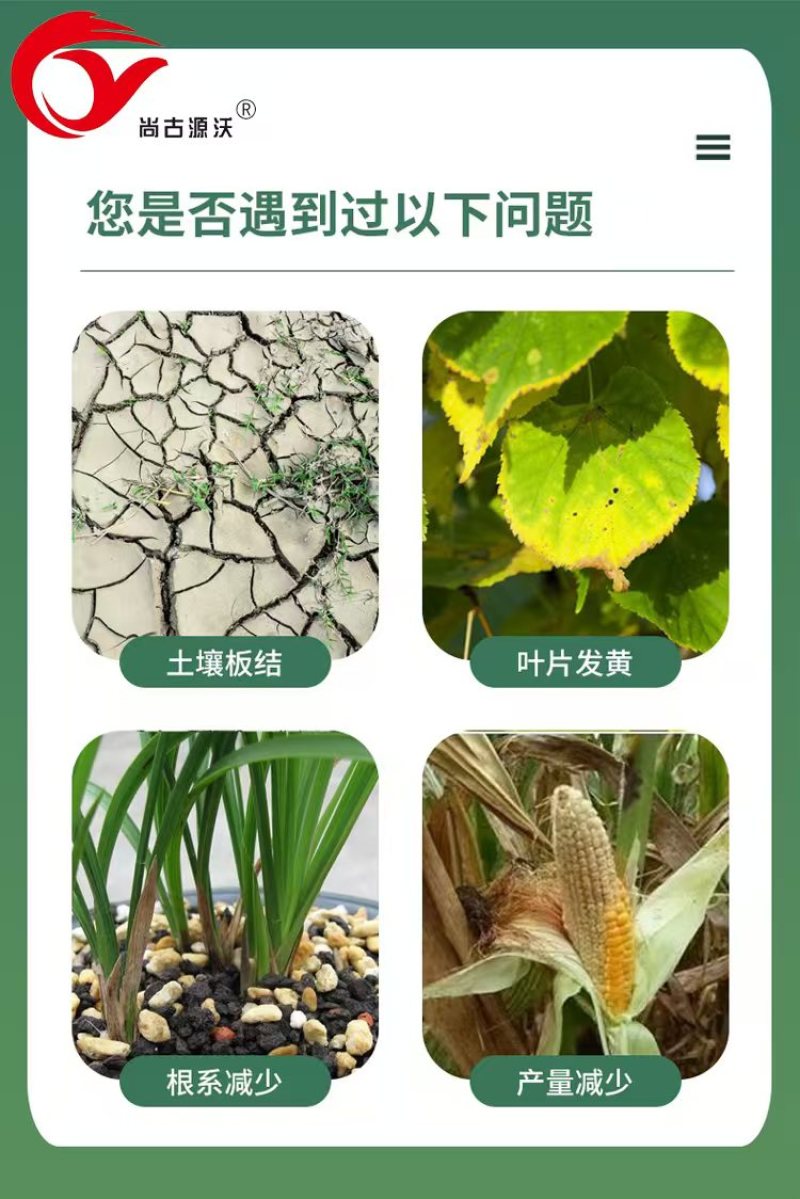 生物有机肥有机肥料生物肥有机肥厂鸡粪