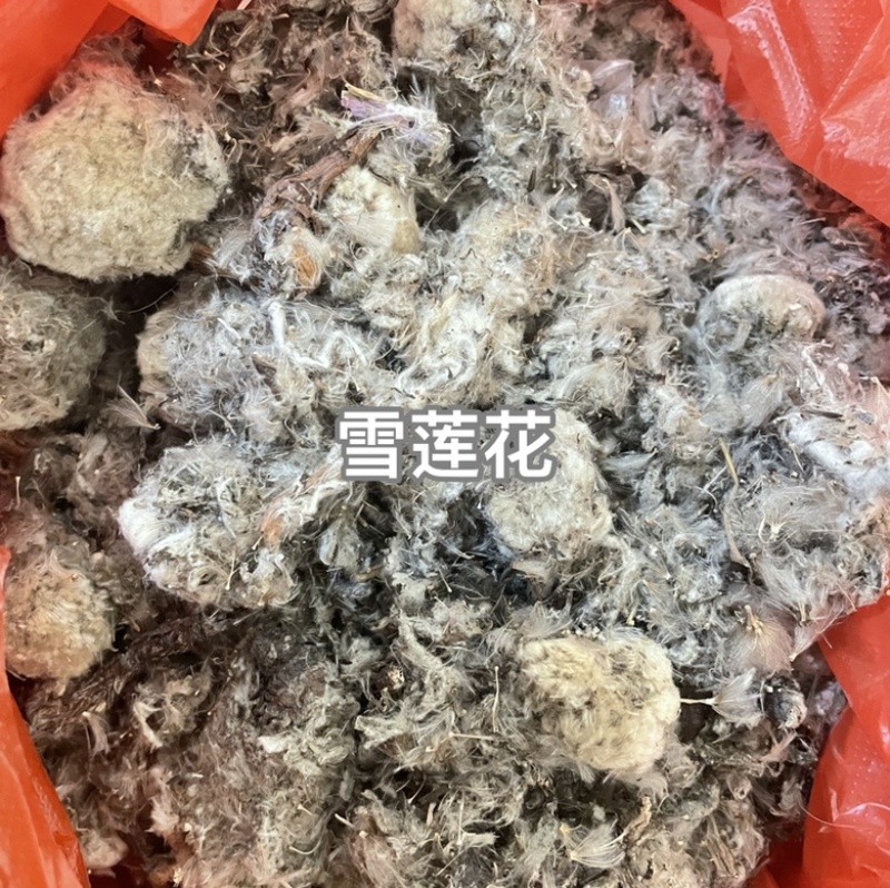 百合产地直售大货供应货源充足包邮