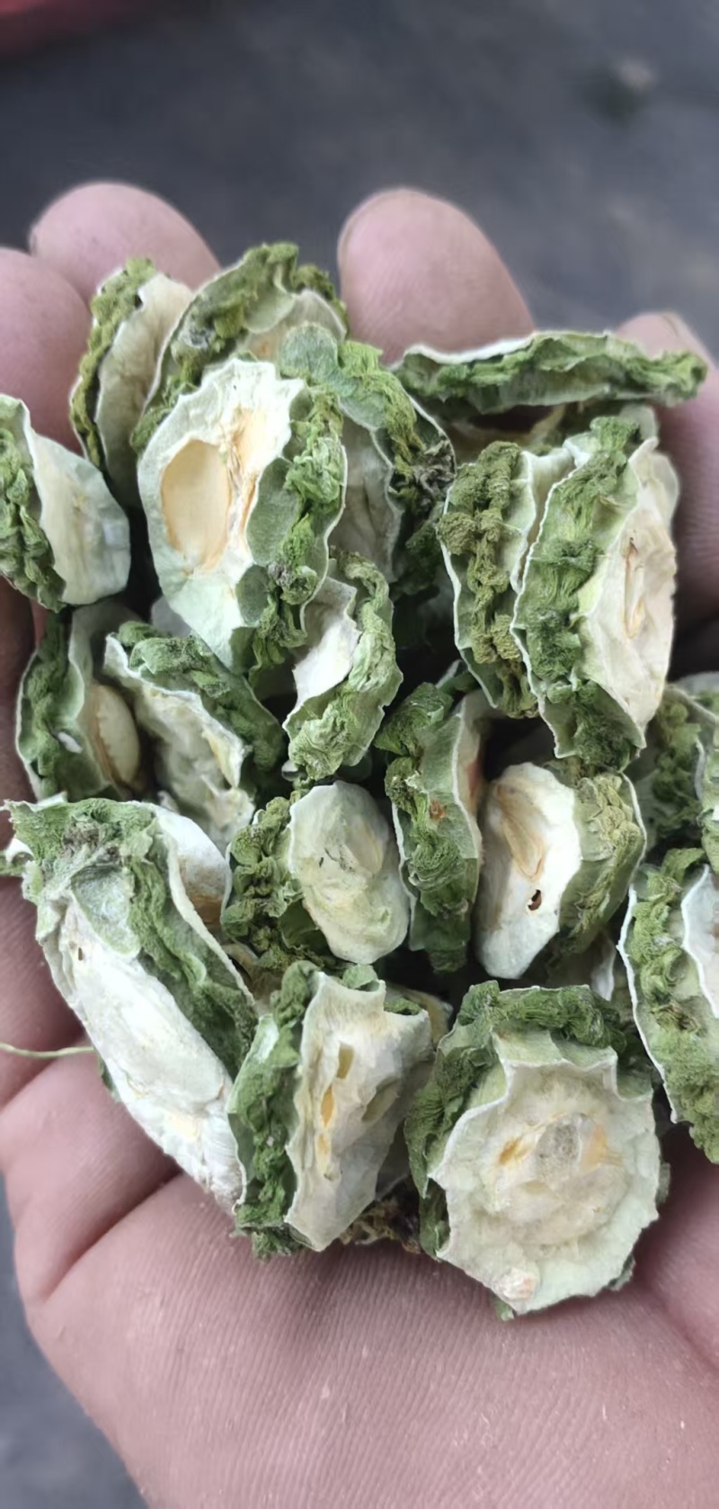 苦瓜干片干苦瓜低温烘干而成一手货源厂家直供