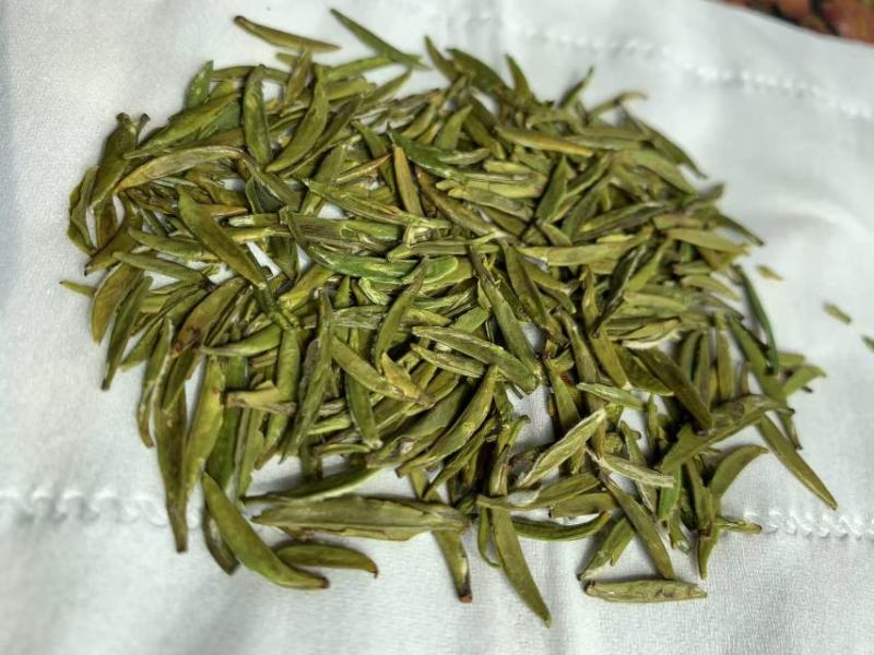 精品苔茶翠芽毛尖茶绿茶一手货源欢迎咨询采购支持看货