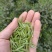 精品苔茶翠芽毛尖茶绿茶一手货源欢迎咨询采购支持看货