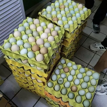 真正散养鸡蛋，破损包赔，营养丰富建康美味保证质量，包运费