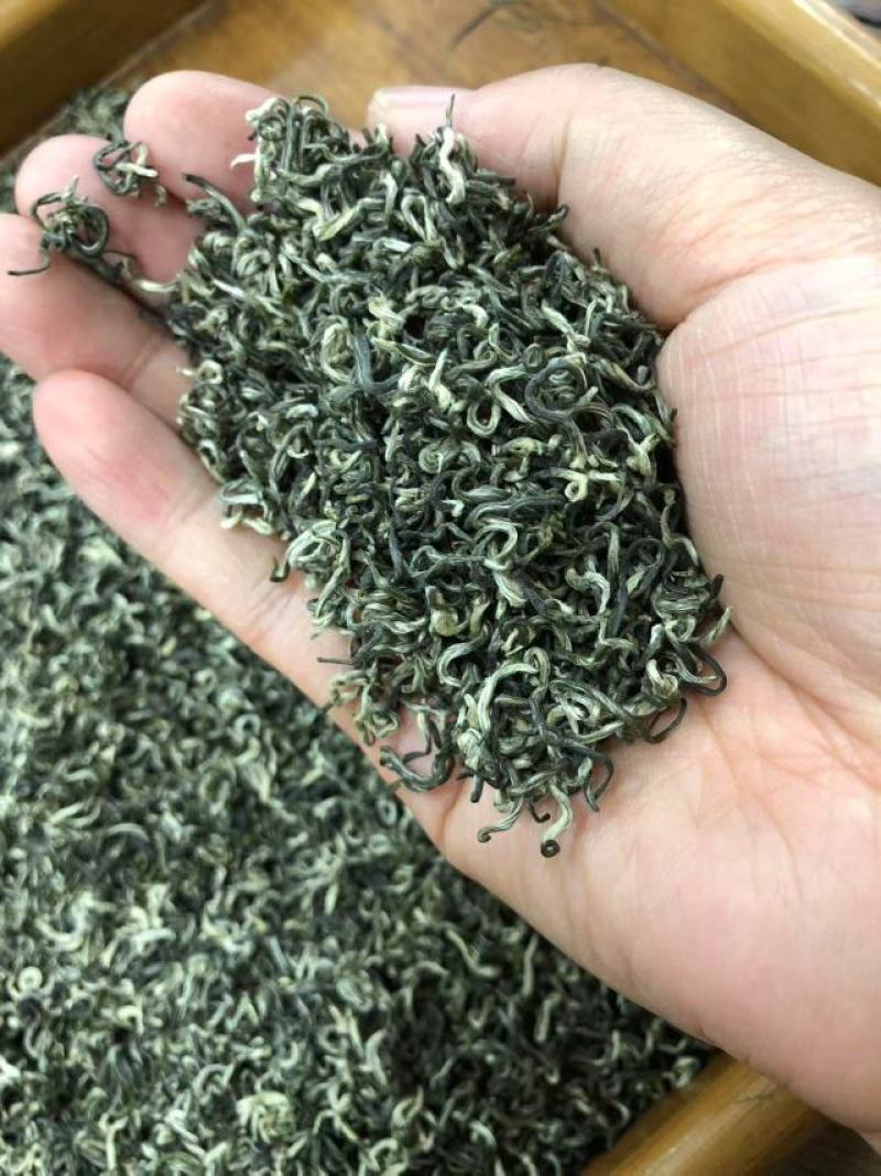 石阡苔茶，精品茶叶基地直销保质保量价格优惠一手货源