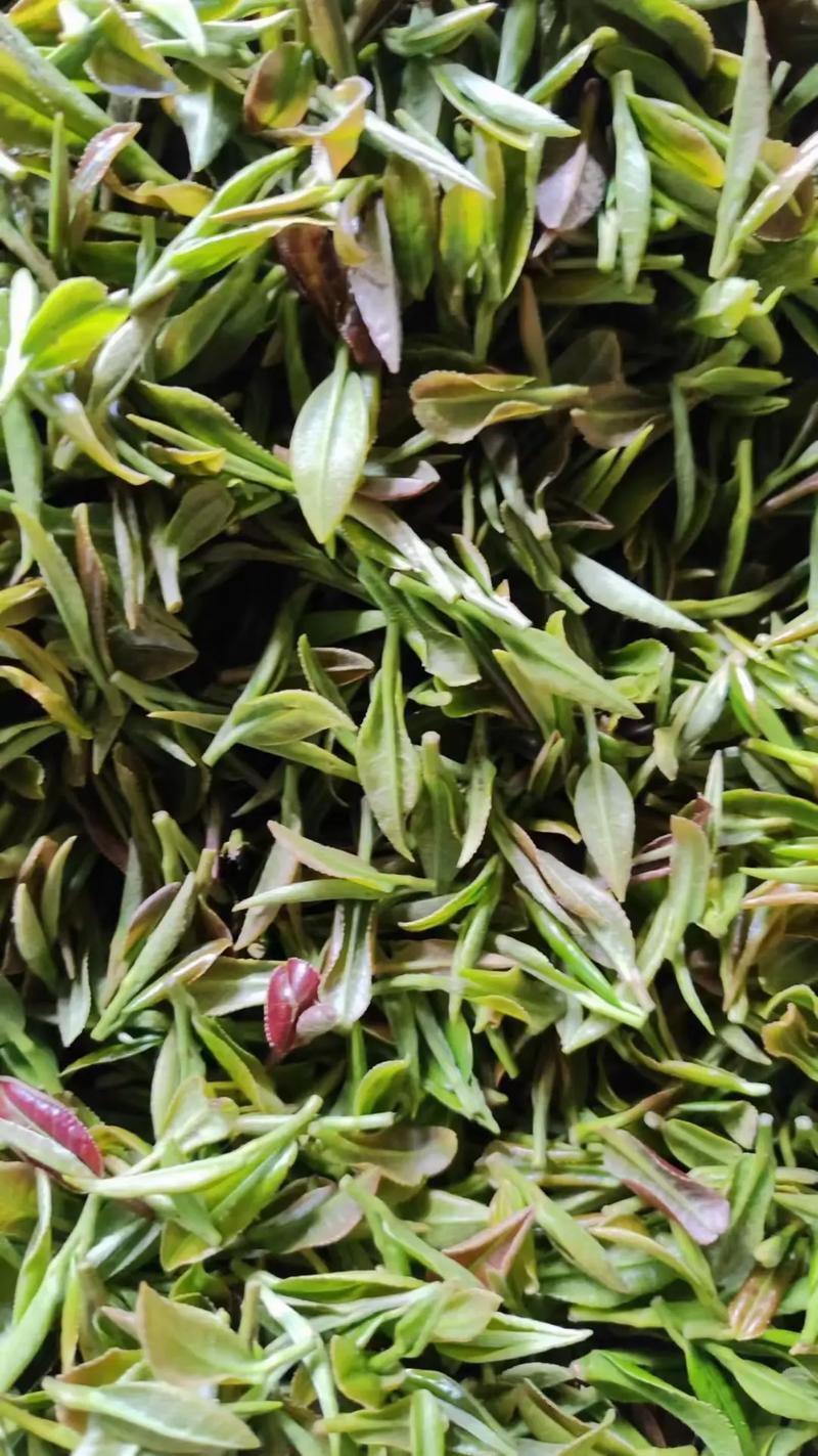 石阡苔茶，精品茶叶基地直销保质保量价格优惠一手货源